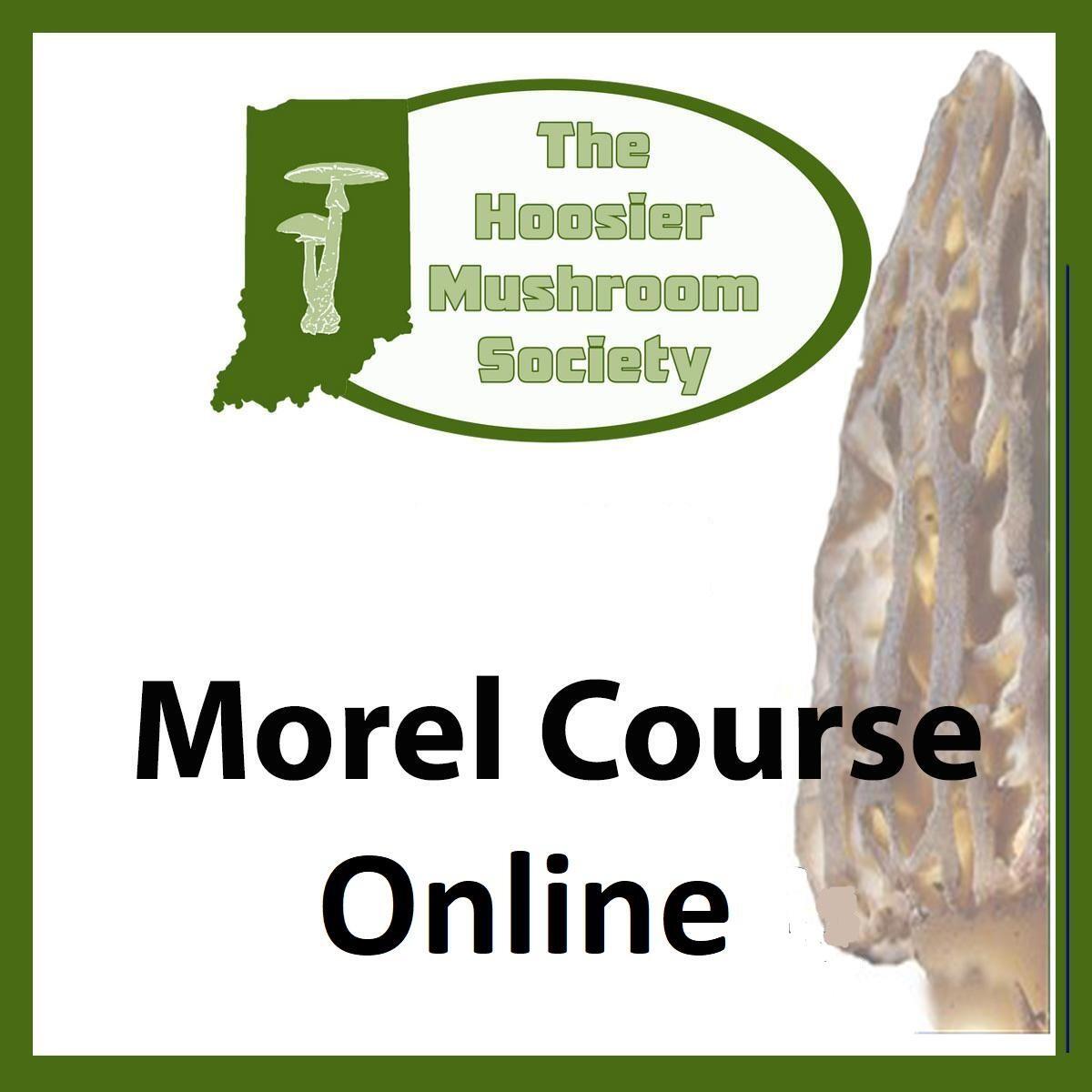  Online Morel Mushroom Course